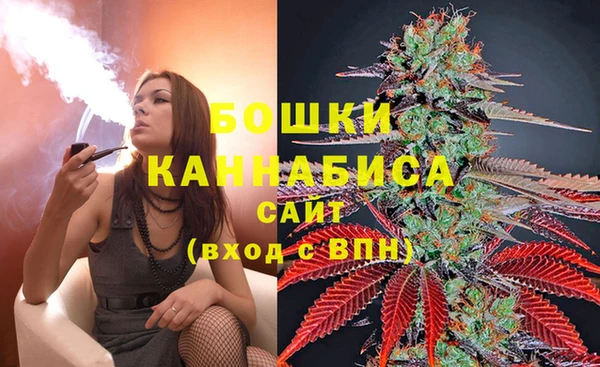 молекула духа Заволжье