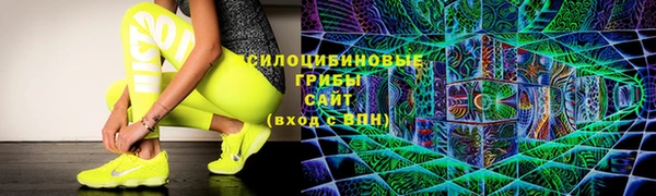молекула духа Заволжье