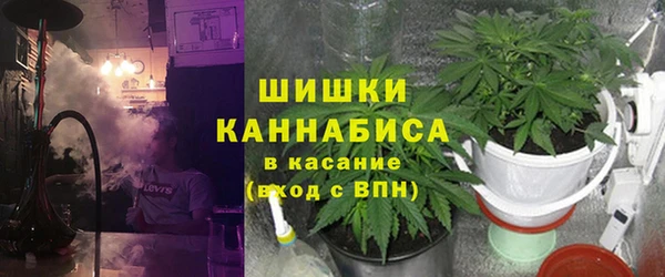 молекула духа Заволжье