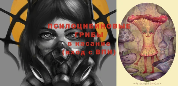 mdpv Заводоуковск