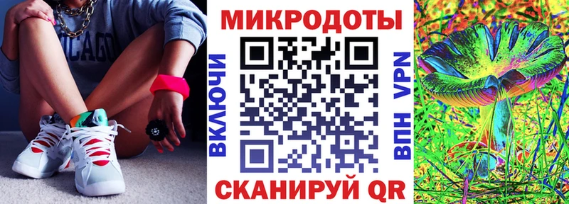 Псилоцибиновые грибы Psilocybe  Избербаш 
